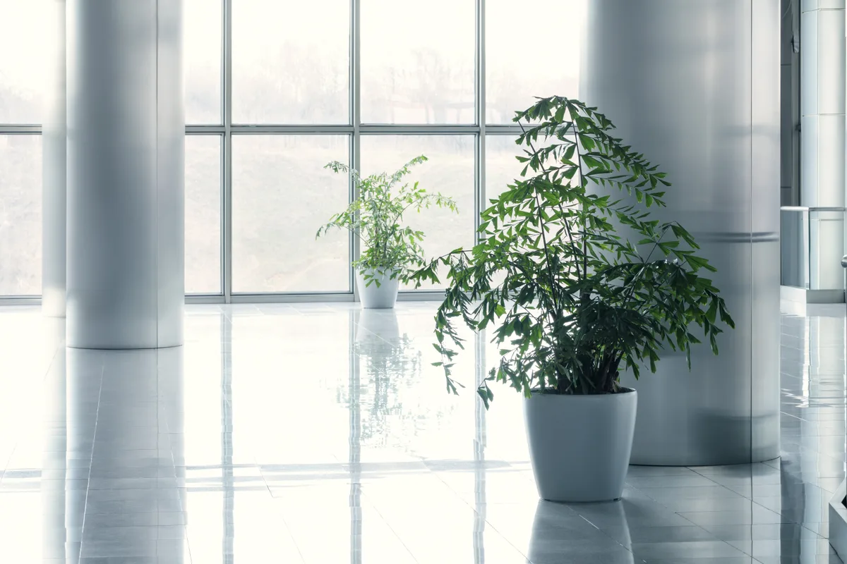 Bright, clean office